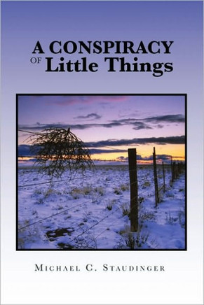 A Conspiracy of Little Things - 9781450024501