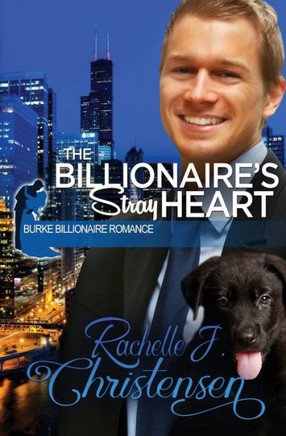 The Billionaire'S Stray Heart (Burke Billionaire Romance)
