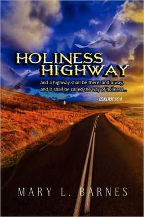 Holiness Highway - 9781441553669