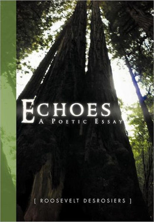 Echoes: Poetic Essay - 9781469142340