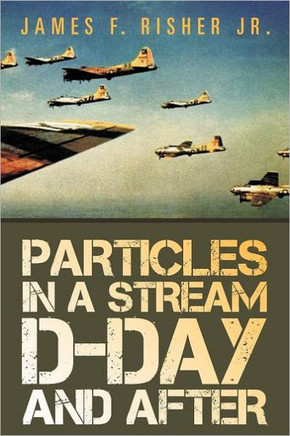 Particles in a Stream D-Day and After - 9781469137841