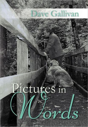 Pictures in Words - 9781469177748