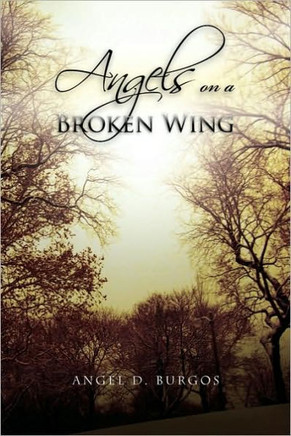 Angels on a Broken Wing - 9781441529428