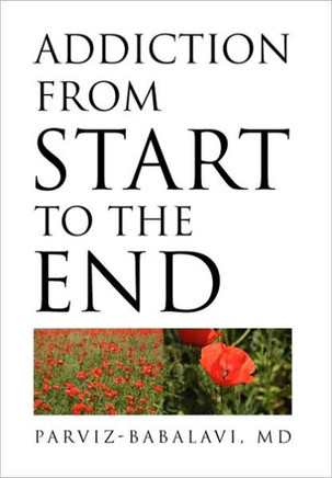 Addiction from Start to the End - 9781453563779