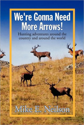 We're Gonna Need More Arrows! - 9781441553591