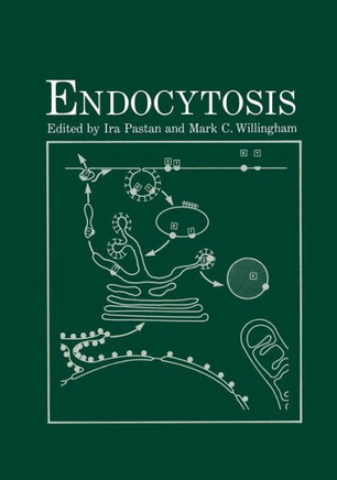 Endocytosis