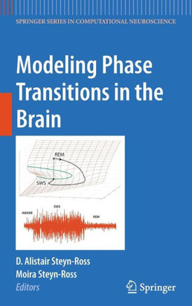 Modeling Phase Transitions in the Brain - 9781441907950
