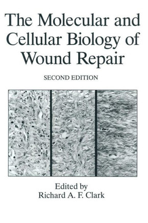 The Molecular and Cellular Biology of Wound Repair - 9781489901873