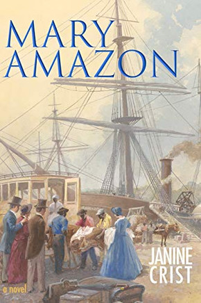 Mary Amazon: a novel