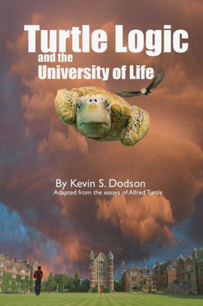 Turtle Logic and the University of Life: This was the land of the teacher I was told. It was where I was sent to learn the ways of the Turtle, the mys