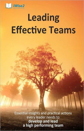 Leading Effective Teams: Essential insights and practical actions every leader needs to develop and lead a high performing team