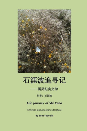 Life Journey of Boaz