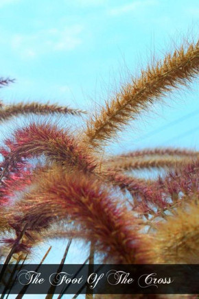 The Foot Of The Cross: The Sorrows Of Mary