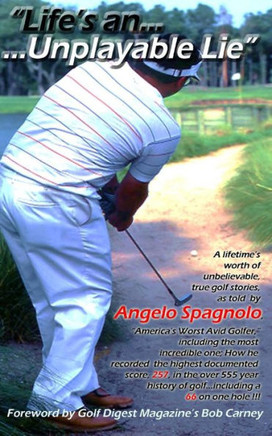 ""Life's an Unplayable Lie""