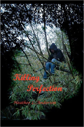 Killing Perfection