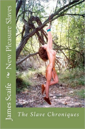 New Pleasure Slaves: The Slave Chroniques