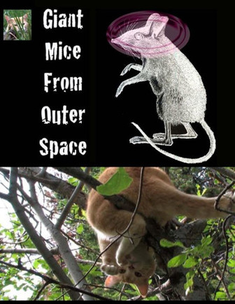 Giant Mice From Outer Space: (The Adventures of Finny the City Cat)