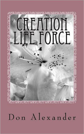 Creation Life Force: Eternal Choice