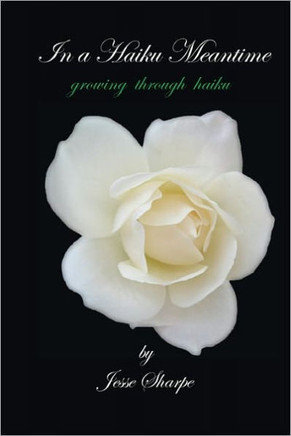 In a Haiku Meantime: growing through haiku
