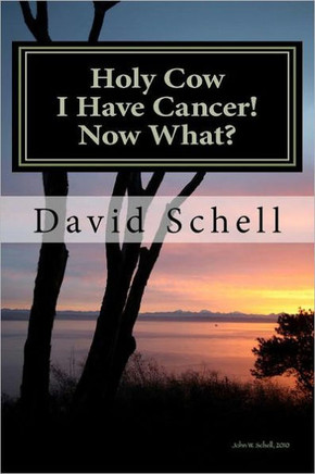 Holy Cow, I Have Cancer!: What Do I Do Now?