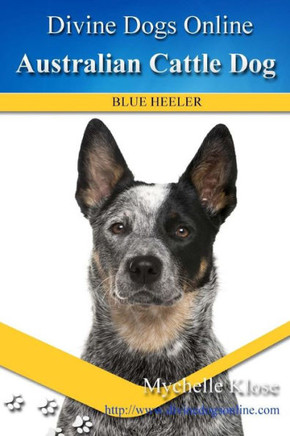 Australian Cattle Dogs: Divine Dogs Online