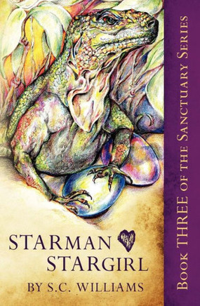 Starman Heart Stargirl: Book Three in the Sanctuary Series