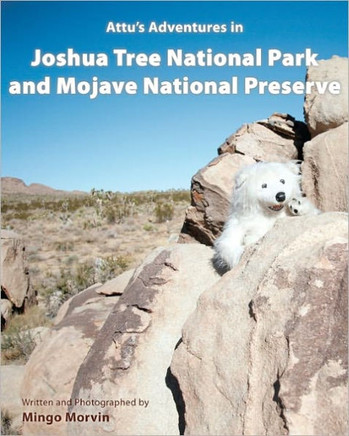 Attu's Adventures in Joshua Tree National Park and Mojave National Preserve