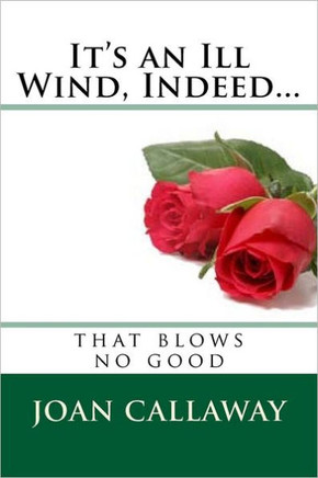It's an Ill Wind, Indeed...: A memoir