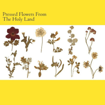 Pressed Flowers From The Holy Land