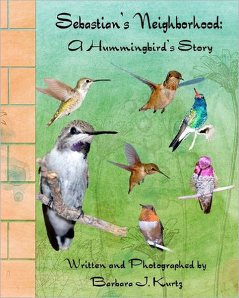 Sebastian's Neighborhood: A Hummingbird's Story