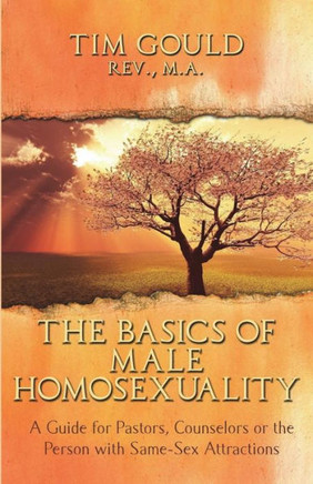 The Basics of Male Homosexuality (A Guide for Pastors, Counselors or the Person with Same-Sex Attractions)