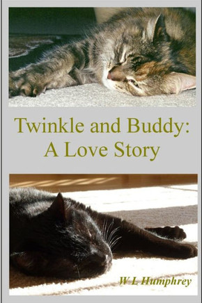 Twinkle and Buddy: A Love Story - 9781484893142