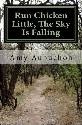 Run Chicken Little, The Sky Is Falling: A Suspense Thriller
