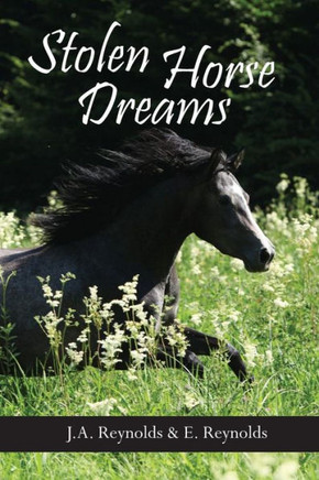 Stolen Horse Dreams