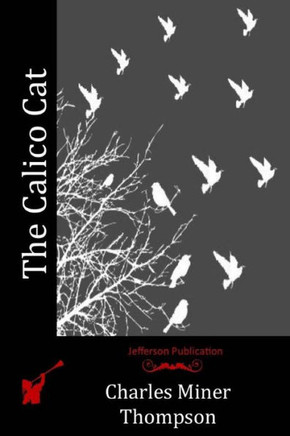The Calico Cat