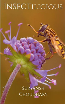 INSECTilicious