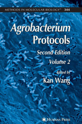 Agrobacterium Protocols: Volume II