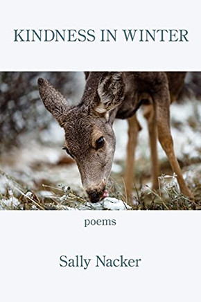 Kindness In Winter