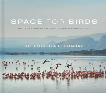 Space for Birds: Patterns and Parallels of Beauty and Flight
