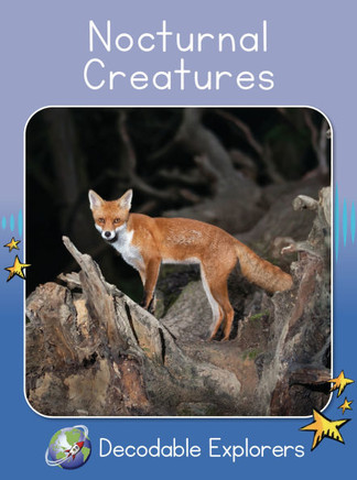Nocturnal Creatures: Skills Set 8