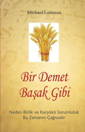 Bir Demet Basak Gibi (Turkish Edition)