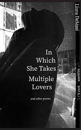 In Which She Takes Multiple Lovers: and other poems