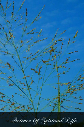 Science Of Spiritual Life: According To The Spiritual Exercises