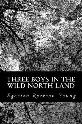 Three Boys in the Wild North Land