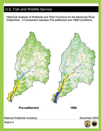 Historical Analysis of Wetlands and Their Functions For the Nanticoke River Watershed: A Comparison between Pre-settlement and 1998 Conditions