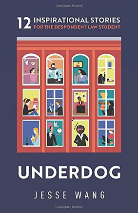 Underdog: 12 Inspirational Stories for the Despondent Law Student