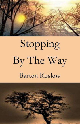 Stopping By The Way