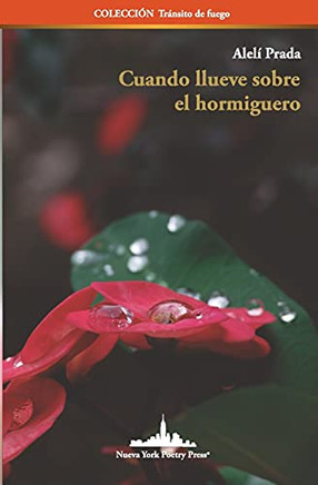 Cuando Llueve Sobre El Hormiguero (Colecciã³N Trã¡Nsito De Fuego) (Spanish Edition)
