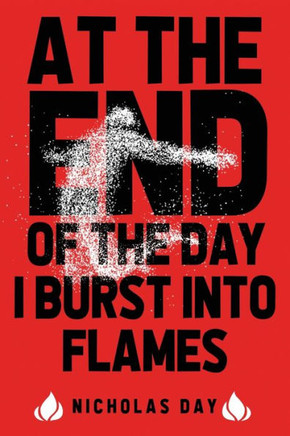 At The End Of The Day I Burst Into Flames