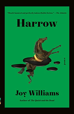 Harrow: A Novel (Vintage Contemporaries)